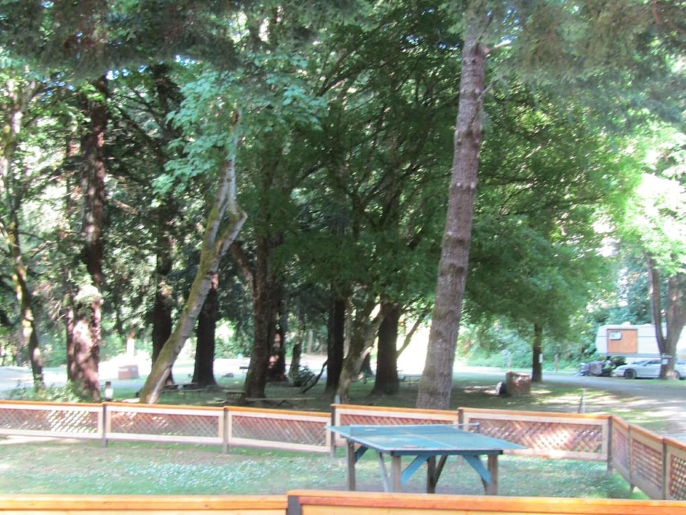 Dean Creek Resort - photo 26