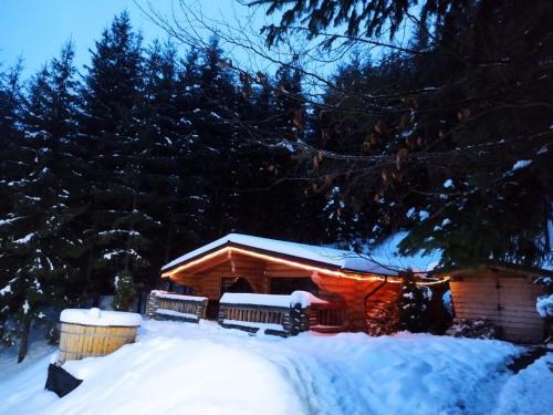 Cabanele silvania 1 - carbon neutral hotel in Unknown City