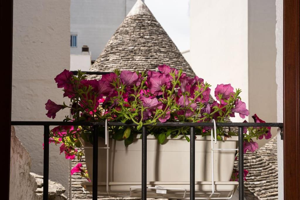Il Trullo Moore Alberobello - last minute hotel in Alberobello