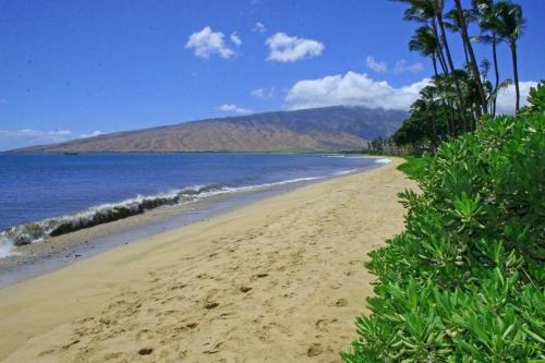 Kihei Beach Resort Kihei - photo 2