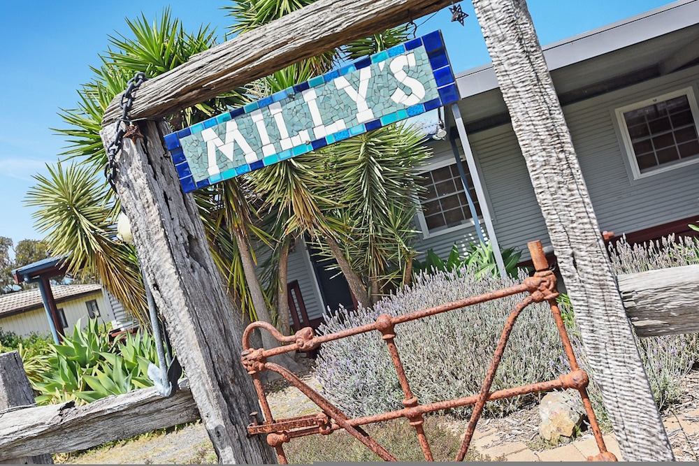 Milly’s Middleton Pet friendly — Middleton — photo 5