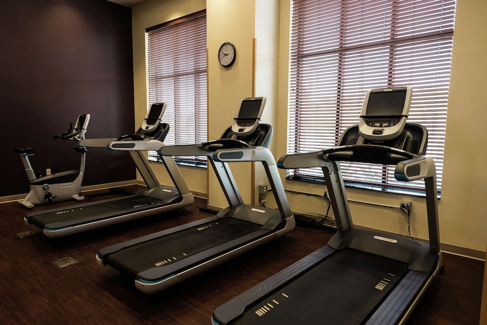 Embassy Suites by Hilton Minneapolis North - photo 26