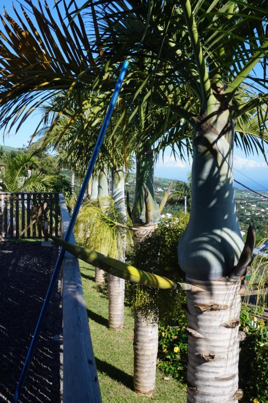 Le Bleuet - carbon neutral hotel in Saint-Leu