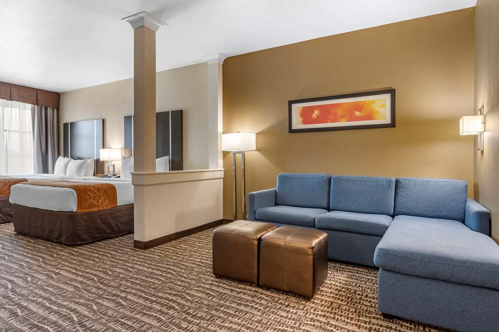 Comfort Suites Near Sam Houston Race Park - photo 13
