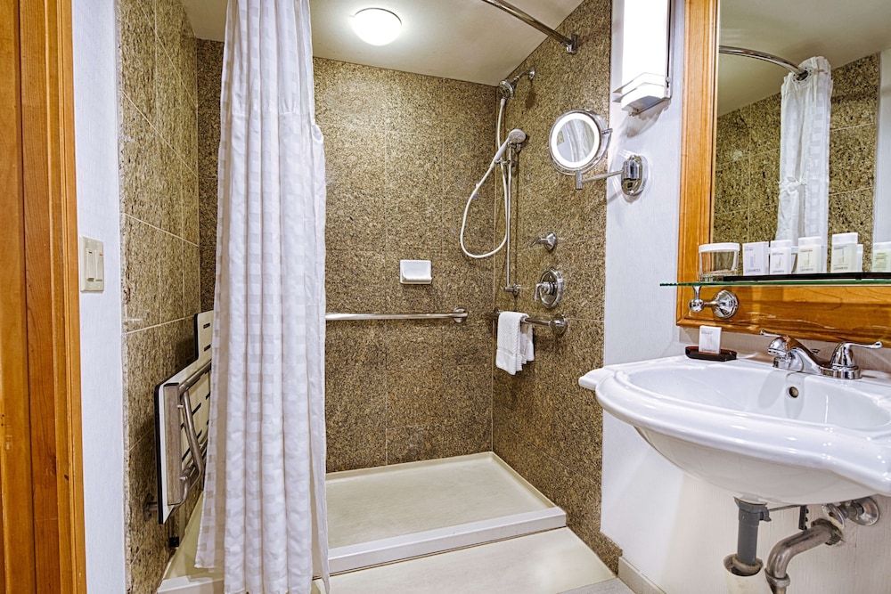 Embassy Suites by Hilton Chicago O'Hare Rosemont - photo 25