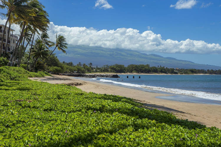 Maalaea Surf Resort #C 3 - photo 19