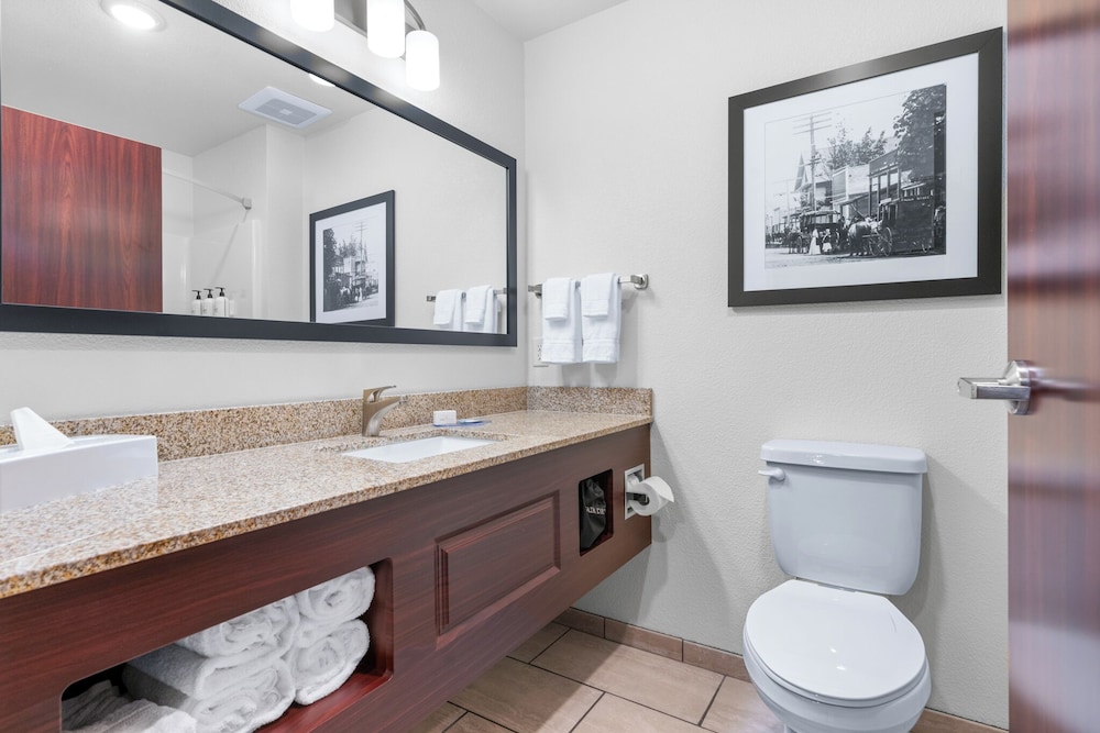 Cobblestone Hotel & Suites Lynden - photo 74