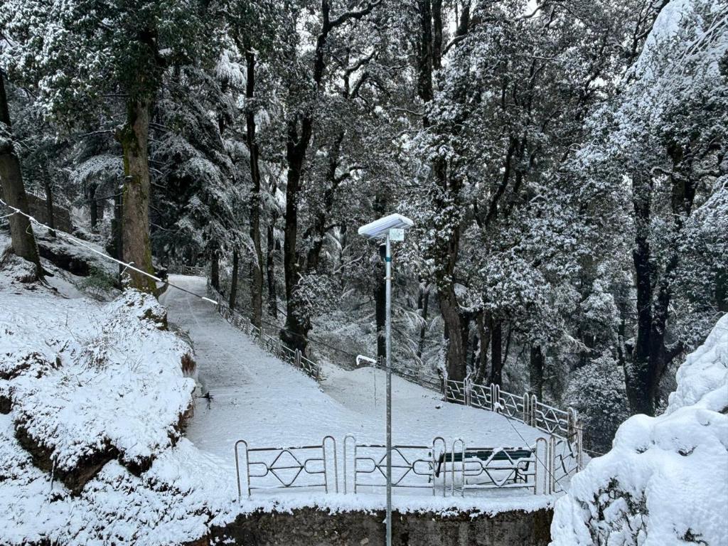 Jakhu heights - last minute hotel in Shimla