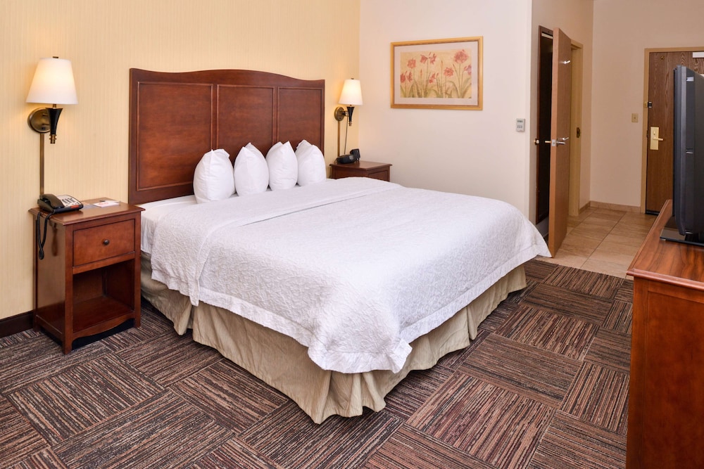 Hampton Inn Elkhart IN - photo 5