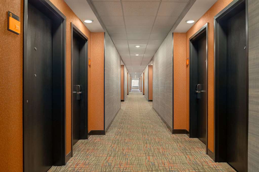 La Quinta Inn & Suites by Wyndham St Louis Route 66 - photo 34