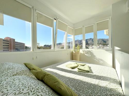 Green Hill 435 - last minute hotel in Torremolinos