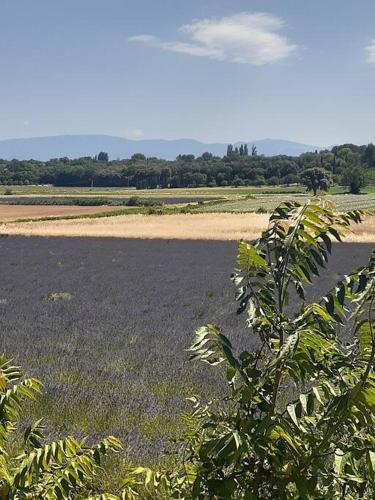 Coeurs En Provence — Suze La Rousse