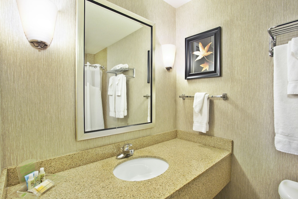 Holiday Inn & Suites Green Bay Stadium by IHG - photo 17