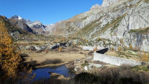 Locanda del Sasso Rooms — Crodo — photo 5