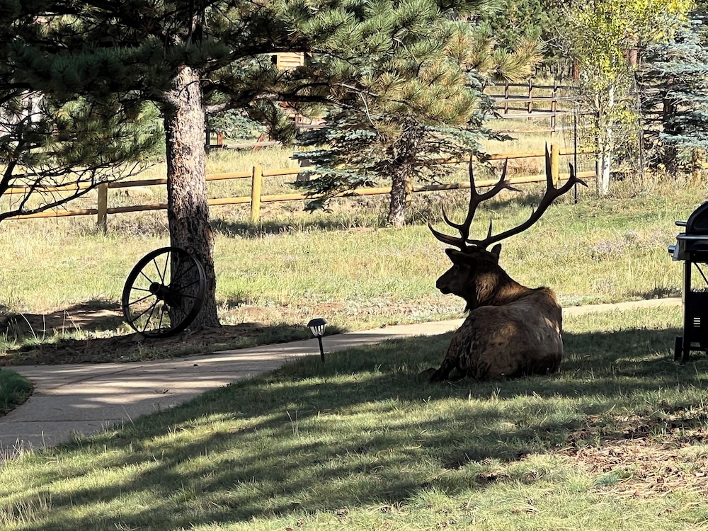 Mountain Shadows Resort - photo 30