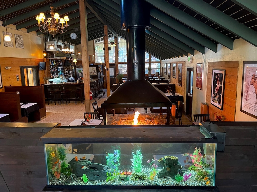Shasta Inn - photo 14