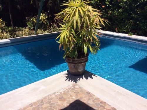 Villas Casa Carlos — 4-Star Luxury Hotel in Nicoya, Costa Rica