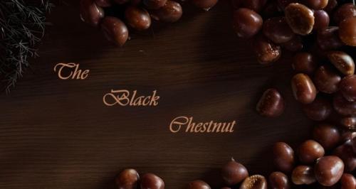 The Black Chestnut — Karpenisi — photo 3