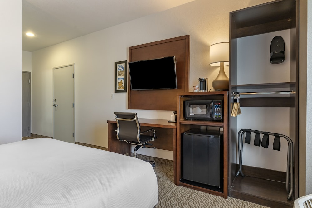 Comfort Inn & Suites Aztec Farmington Area - photo 8