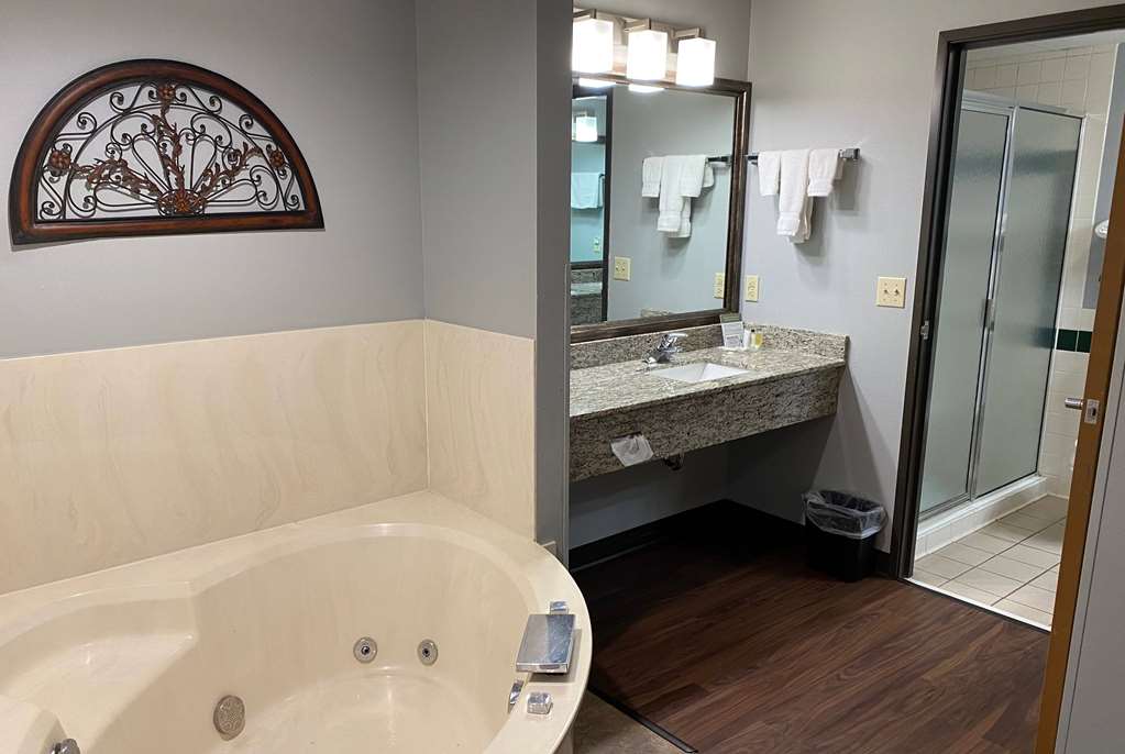 AmericInn by Wyndham Chanhassen - photo 37