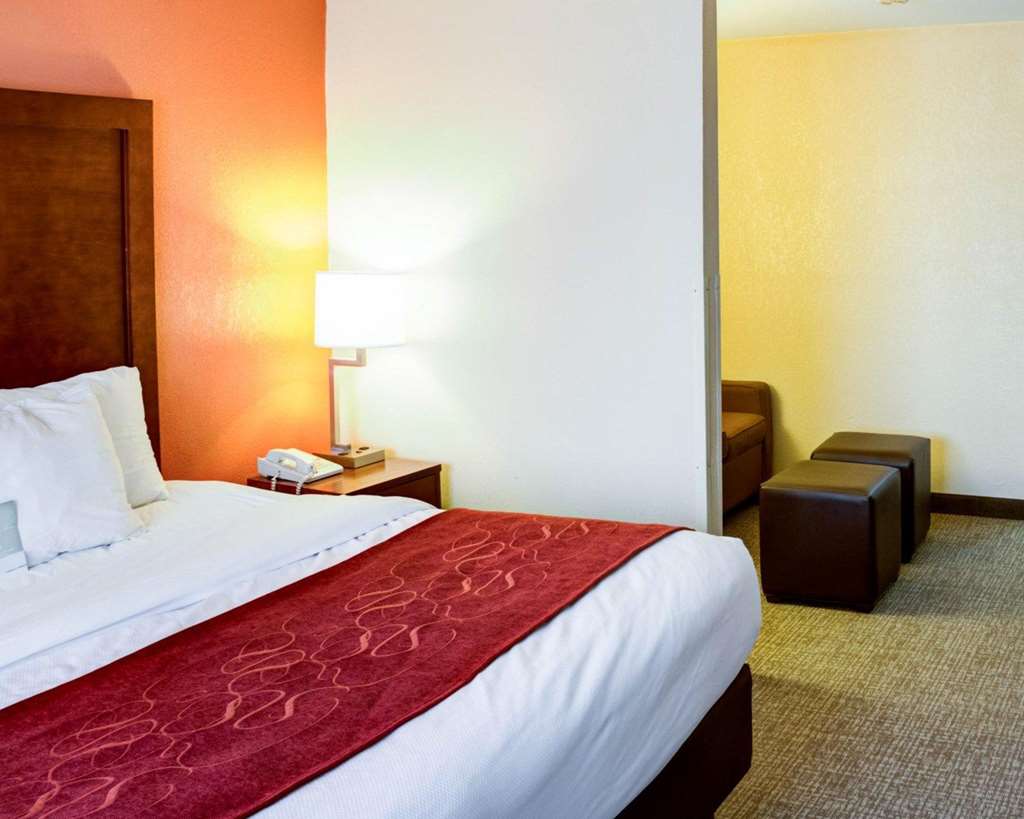 Comfort Suites Omaha Northwest - photo 13