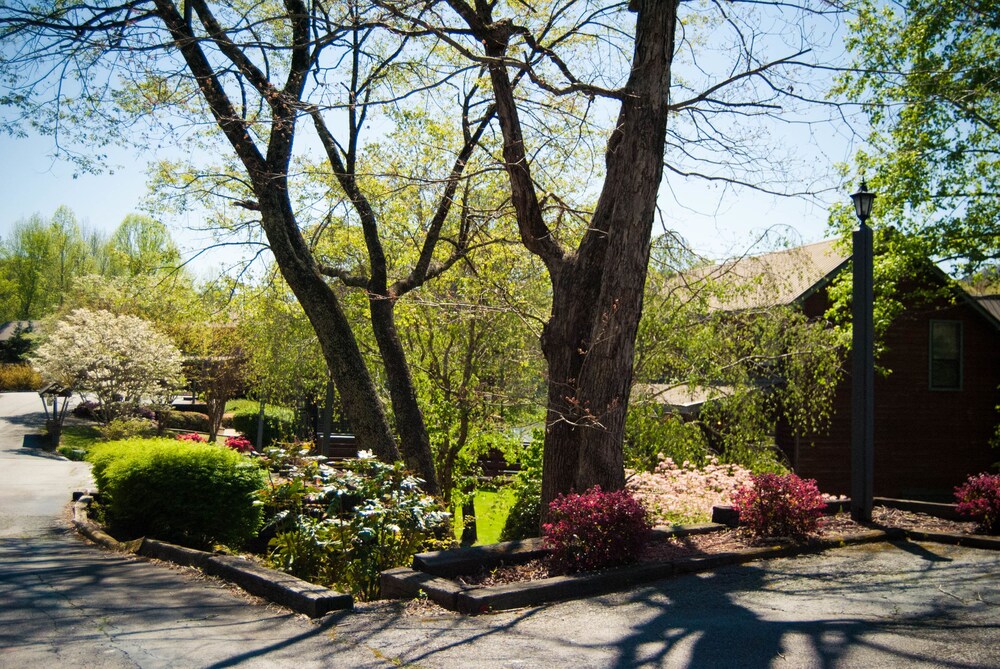 Country Hideaway at Mountain Lakes - photo 53