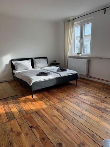 Schones Zimmer Im Zentrum — Oldenburg
