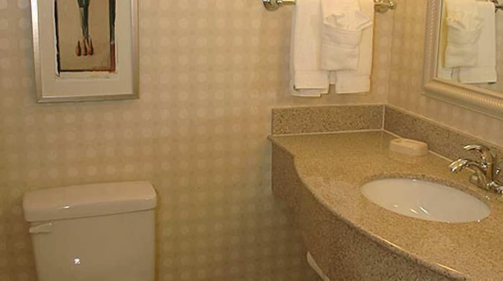 Hilton Garden Inn Victorville - photo 10