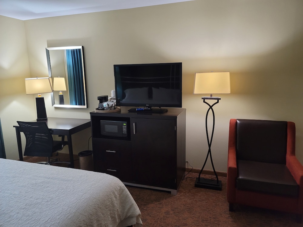 Hampton Inn Austin Oak Hill - photo 5