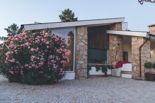 Casa da Ni Douro — 4-Star Luxury Hotel in Arcos, Portugal