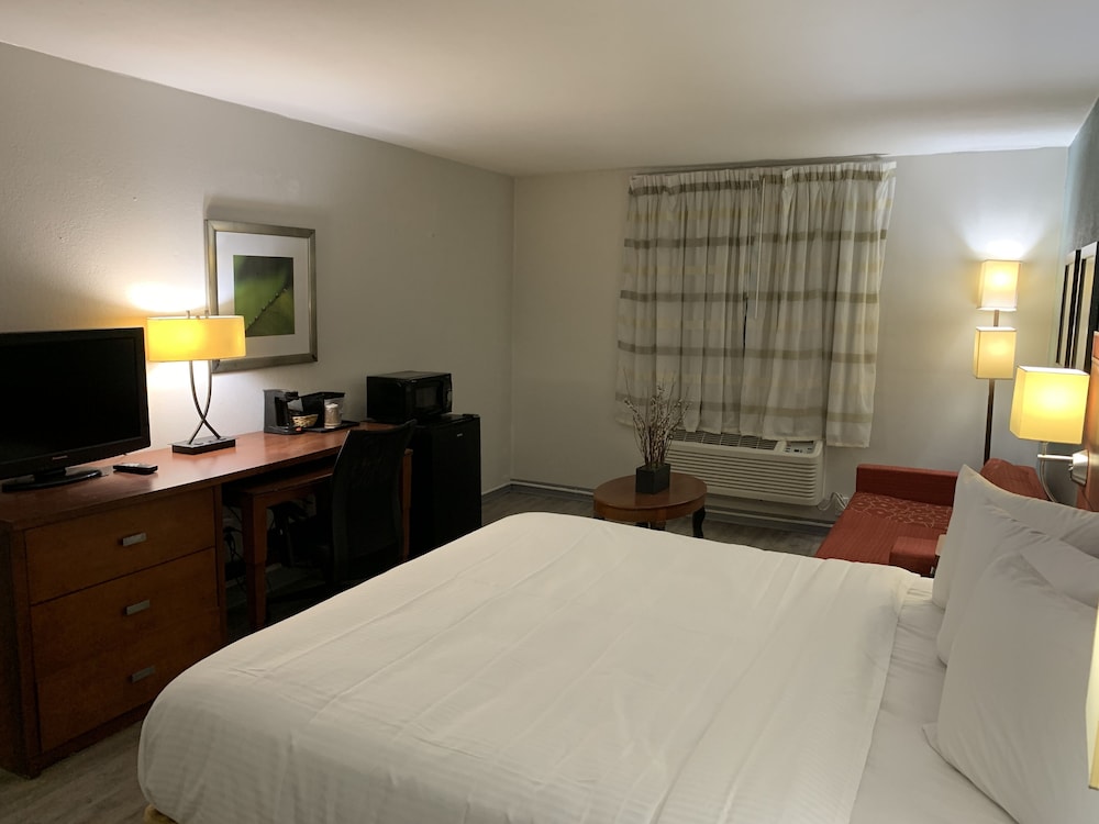 The Hotel Orange - photo 8