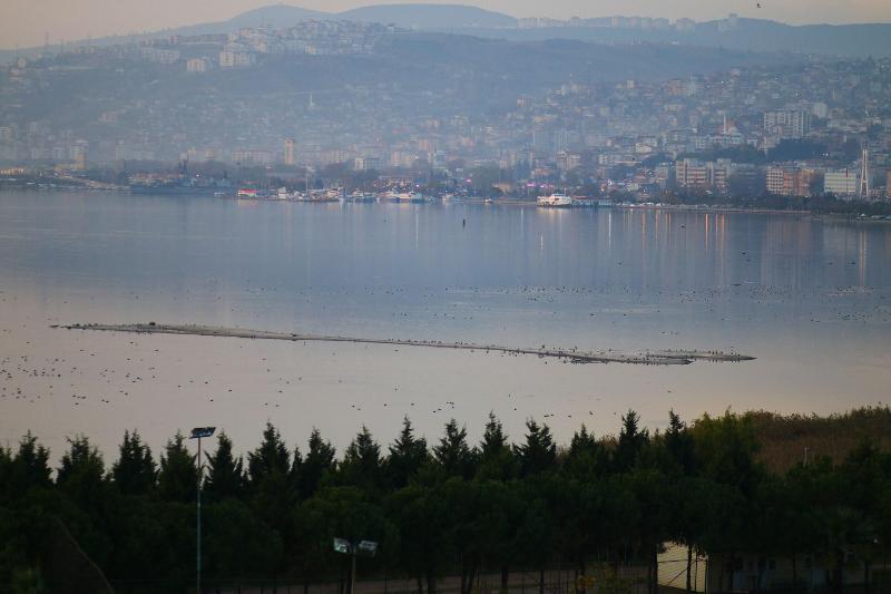 emexotel Kocaeli — Izmit — photo 5