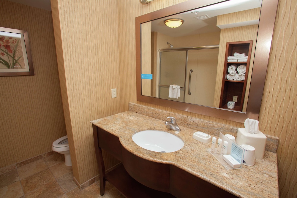 Hampton Inn Elmira Horseheads - photo 45
