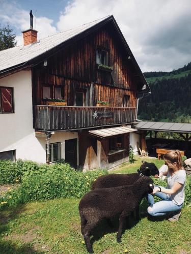Zauneralm — Aich