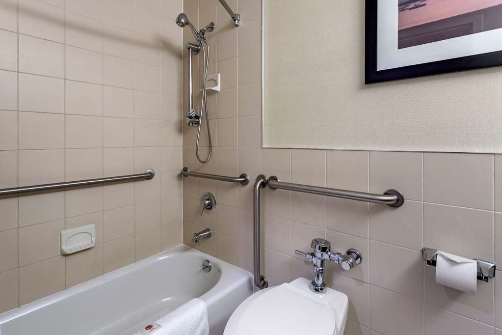 Comfort Inn Syosset Long Island - photo 24