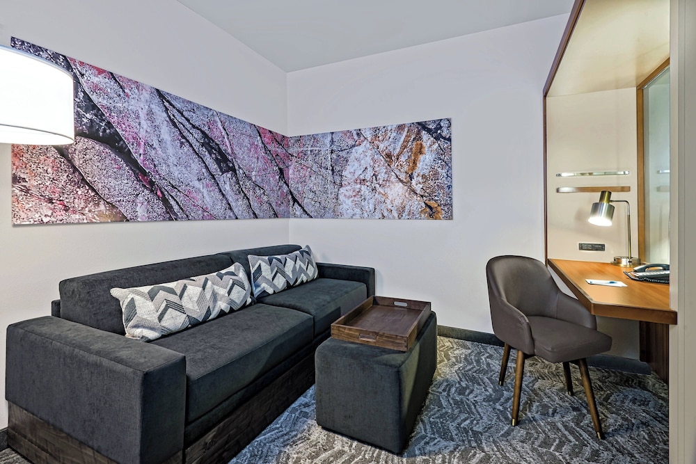 SpringHill Suites by Marriott San Antonio SeaWorld Lackland - photo 6