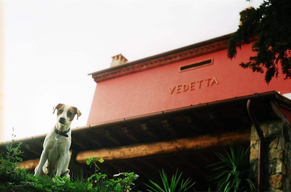 Relais Vedetta in Scarlino, Italy