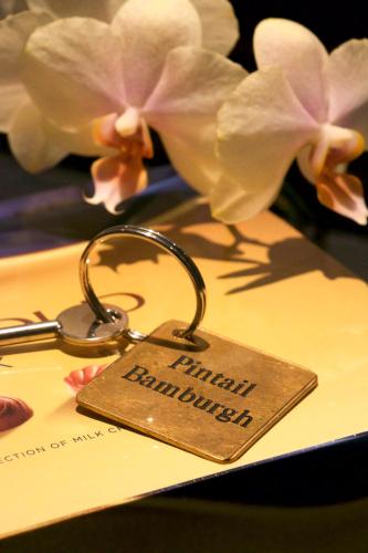 Pintail Apartment Bamburgh — 4-Star Luxury Hotel in Bamburgh, United Kingdom
