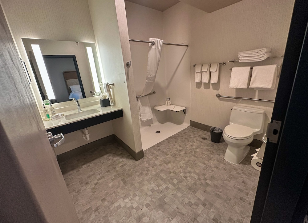 Holiday Inn Kansas City Downtown - photo 13