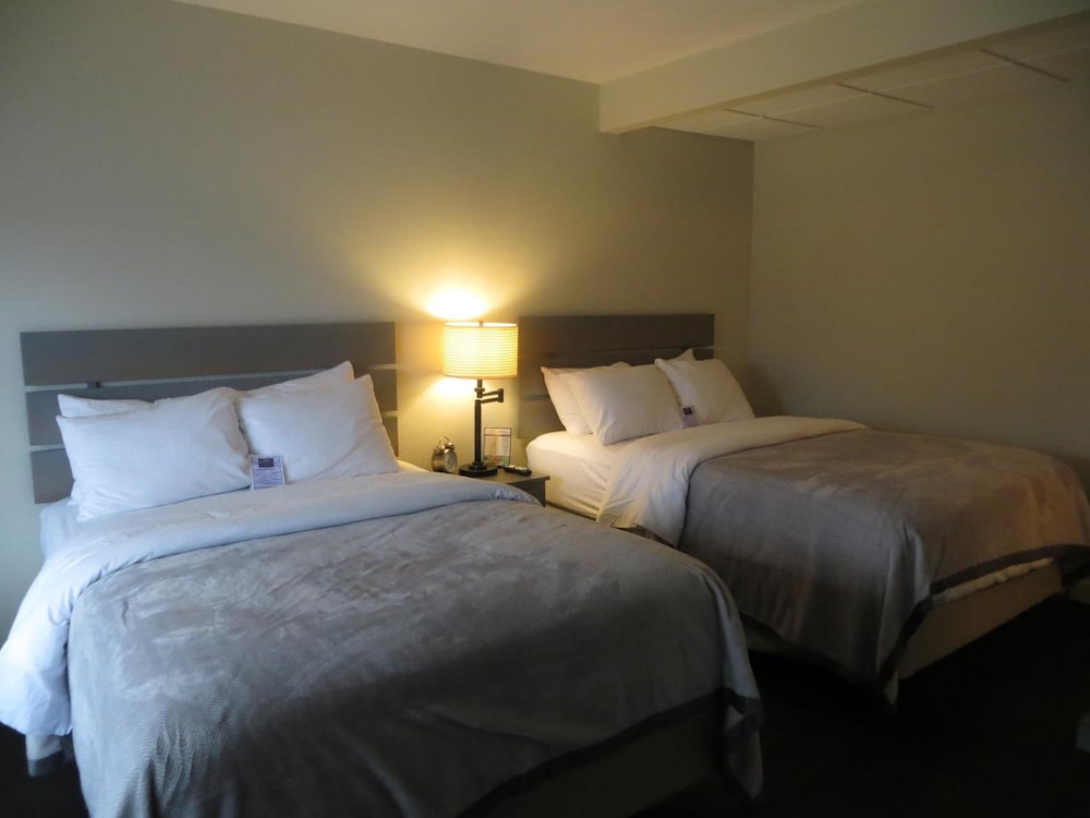 Brio Beach Inn - photo 16