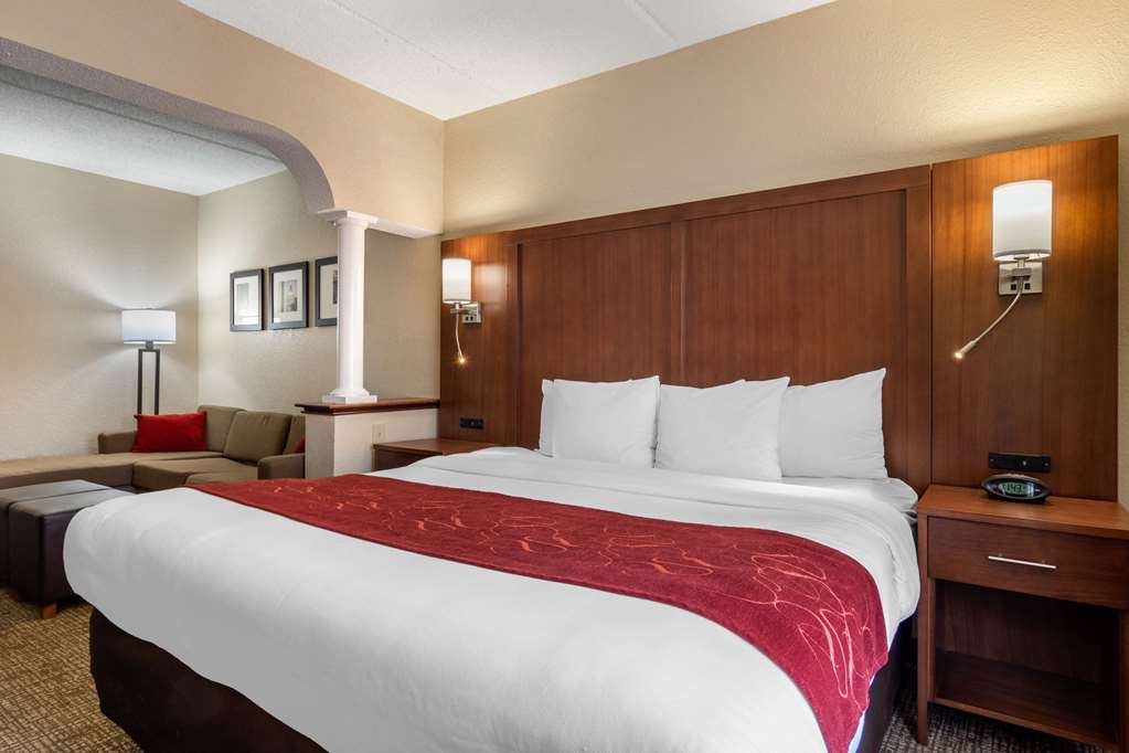 Comfort Suites Woodstock Atlanta North - photo 17