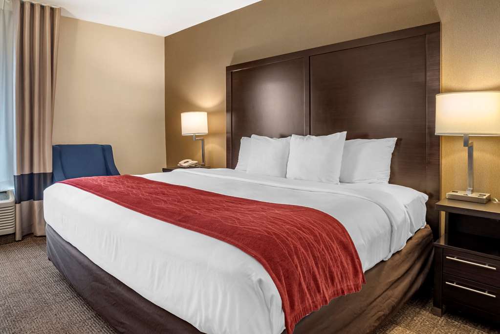 Comfort Inn Towson Baltimore North - photo 18