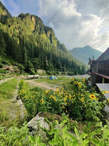 Flipsyde Retreat in Kulu, India