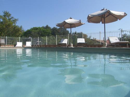 Vacanze Toscane In The Country — Sassetta — photo 5