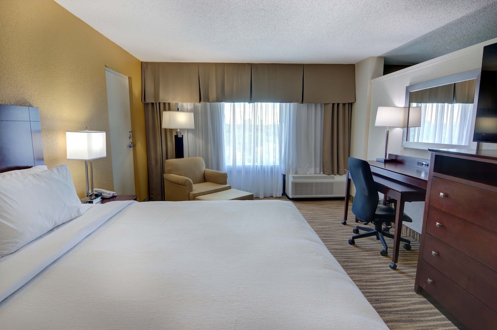 Holiday Inn St Petersburg N Clearwater by IHG - photo 16