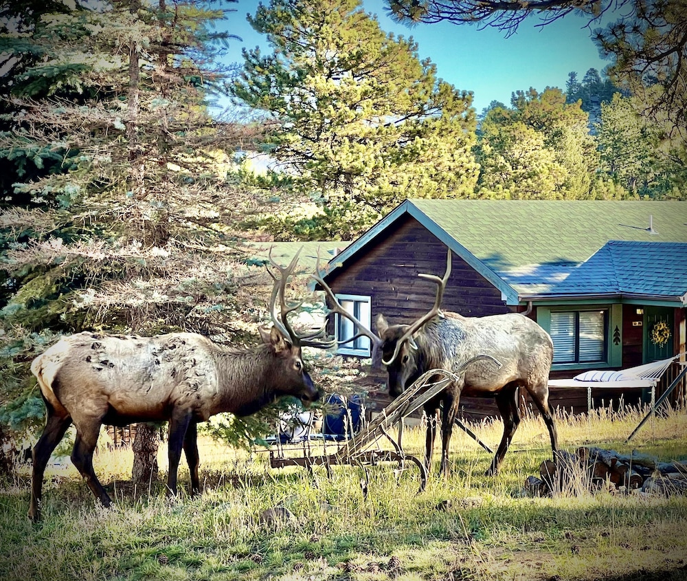 Mountain Shadows Resort - photo 43