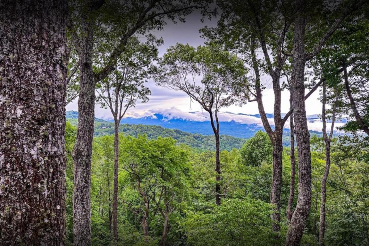 Summit Venture in Ellijay, United States