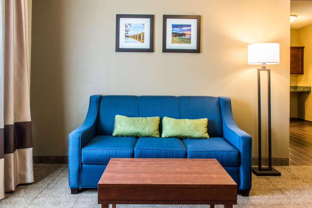 Comfort Inn Columbia Lancaster - photo 24
