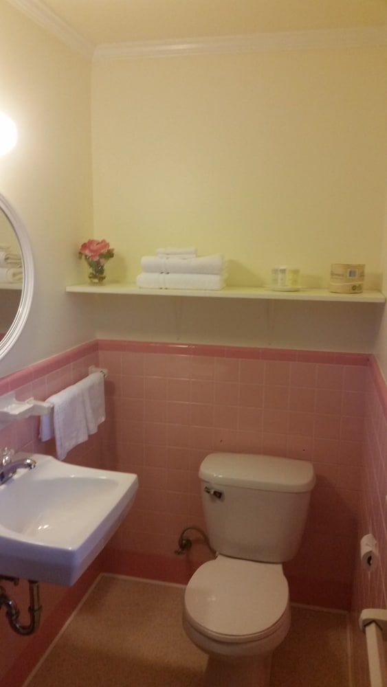 Roosevelt Inn of Hyde Park - photo 12