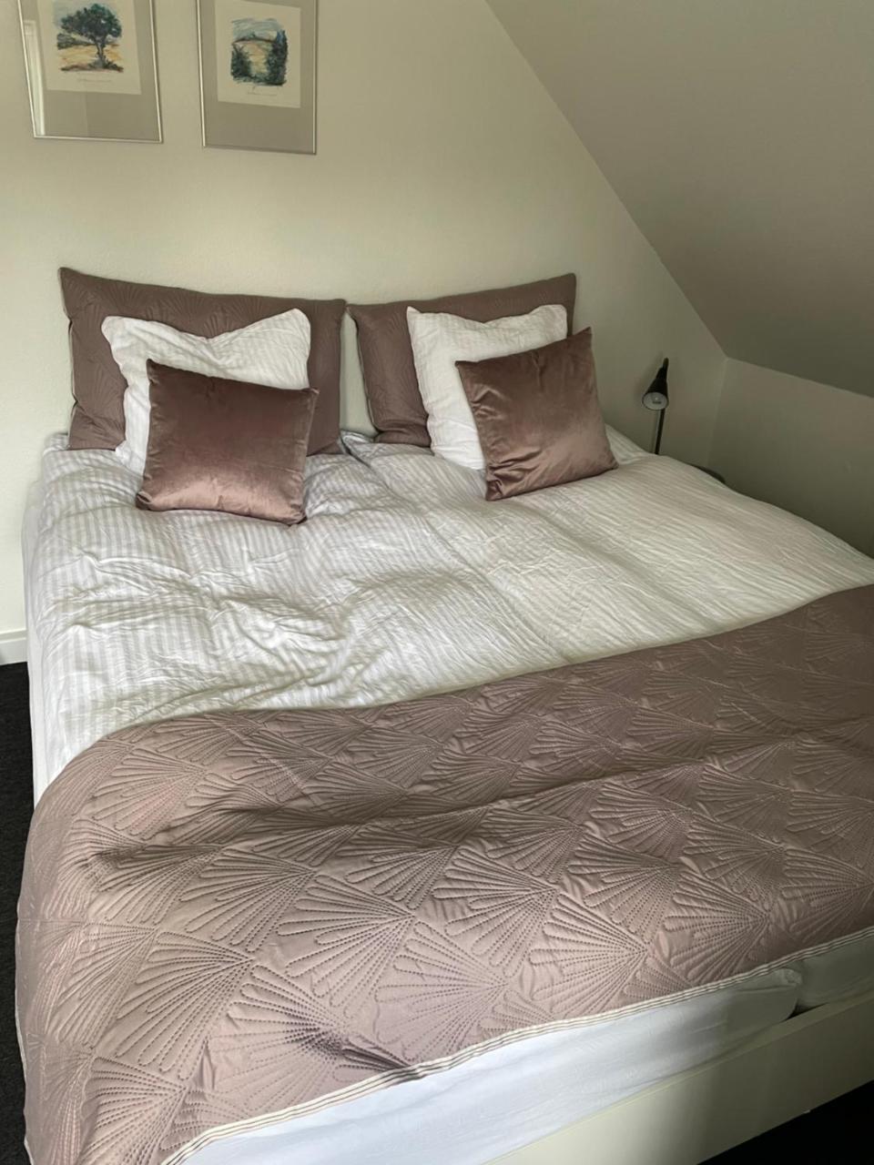 Sleep In Brande Close By Herning Legoland Givskud Zoo — hotel in Brande